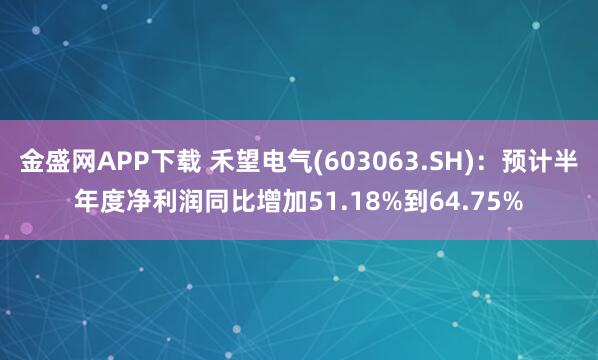 金盛网APP下载 禾望电气(603063.SH)：预计半年度净利润同比增加51.18%到64.75%