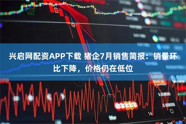 兴启网配资APP下载 猪企7月销售简报:销量环比下降,价格仍在低位